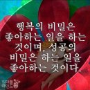 매화나무집 이미지