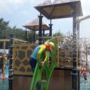 배다리 손만두 이미지