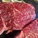 용현로 | 고양시 행신동 소고기 TOP3 맛집 솔직후기, 마블링부터 남다른 숯불의 손맛