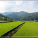 소리마을영농조합법인