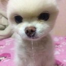 듀