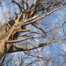 선용숙박 | 인생 개척의 실용 교육