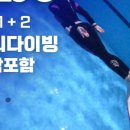 웨일프리