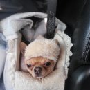 뚜뚜네 미용실 이미지