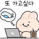 오봉리 돌담집 이미지
