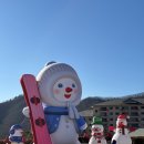 31 | 원주 리조트 오크밸리 밸리빌리지 31평 노블 후기