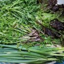 진장농장 이미지