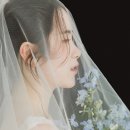 웨딩촬영 : 행복한 추억을 만들고 온 인물중심 라이크어스(Likeus) 스튜디오 후기 with 원영헬퍼이모님