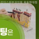 목동리더스피부과의원 이미지