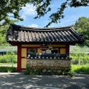 물계서원 | 창녕 배롱나무 명소 추천 여름 가볼 만한 곳