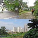대전수정초등학교 이미지