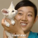 여우 - 북구 서방로 134-1 | 여우