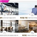 일동미라주더마린 이미지