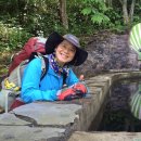 체육회관길 이미지