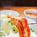 사평다슬기수제비 Daum카페