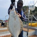 영복1호 이미지