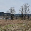 대전리농장 이미지