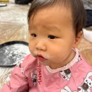 금도끼PC | [문센후기] 무럭무럭 콩대장 천안아산 신세계 겨울학기 (+코스튬 확인)