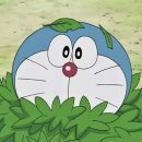 강원고등학교 이미지