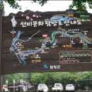 술정중앙길 이미지