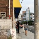 정라20통 | 강릉 닭강정 맛집 서울양계닭강정 내돈내산후기