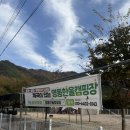 영동 한울 캠핑장 네이버블로그