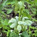 골뫼골명품마을 이미지