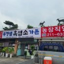 뚜껑샘 이미지