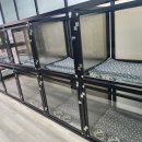 멍하우스 이미지