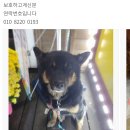 백제당약국 이미지