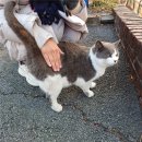 세일공업(주)노동조합 | [블챌] 14주차