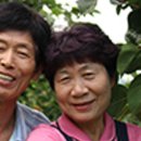 창녕공설테니스장 네이버블로그