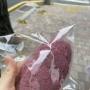 광안리 소금빵 맛집 어메이징 베이커리 후기
