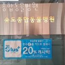 송도 종합 동물병원 이미지