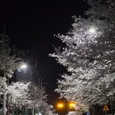 세븐일레븐 포항두호아이파크점