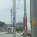 남일 당구장 | 저번주 천안공원묘원에 갔다왔어요