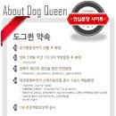 도그PC 이미지