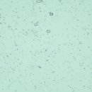 린동물병원 이미지