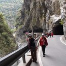 아차실지 이미지