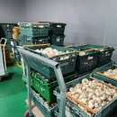 석성농장 이미지