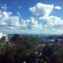 고향집 삼계탕 이미지