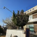 매화보건진료소 이미지