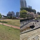 식사중앙공원 화장실 이미지