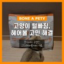 자연앤동물병원 미용실 | 본아페티 고양이 헤어볼 사료 후기｜기호성 좋은 스킨앤헤어볼 케어 리얼 급여 리뷰