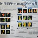 최영곤한의원 네이버블로그