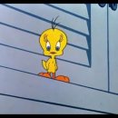 트위티 카카오 검색결과