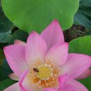 덕고개농장 이미지