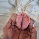 쉬즈메디병원 | [쉬즈메디병원] 선택제왕 후기