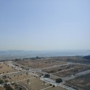 영종라이언부동산공인중개사사무소 이미지