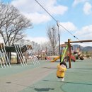 아라길(가야시장) 이미지